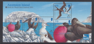 2001 Ascension Island. MS838 Birdlife World Birds Festival. mini sheet U/M (MNH) 2001 Ascension Island. MS838 Birdlife World Birds Festival. mini sheet U/M (MNH)