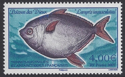 2007 French Antarctic. SG.581 Lampris Immaculatus. U/M (MNH) 2007 French Antarctic. SG.581 Lampris Immaculatus. U/M (MNH)