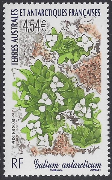 2003 French Antarctic. SG.511 Cabot. U/M (MNH) 2003 French Antarctic. SG.511 Cabot. U/M (MNH)