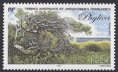 2003 French Antarctic. SG.508 Phylica (tree) Amsterdam Island. U/M (MNH) 2003 French Antarctic. SG.508 Phylica (tree) Amsterdam Island. U/M (MNH)