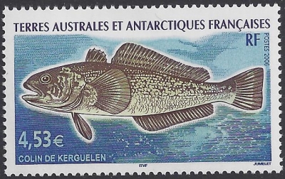 2006 French Antarctic. SG.568 Colin de Kerguelen. U/M (MNH) 2006 French Antarctic. SG.568 Colin de Kerguelen. U/M (MNH)