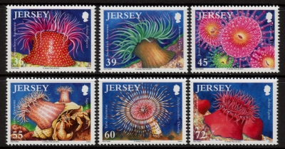 2010 Jersey SG.1525-30 Marine Life (8th series) 6 values..(face = £3.07) U/M (MNH) 2010 Jersey SG.1525-30 Marine Life (8th series) 6 values..(face = £3.07) U/M (MNH)