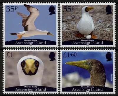 2025 Ascension SG.1375-8 masked booby. set 4 values U/M (MNH) 2025 Ascension SG.1375-8 masked booby. set 4 values U/M (MNH)