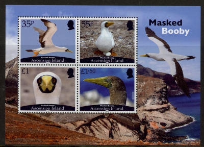 2025 Ascension MS.2379 masked booby. mini sheet. U/M (MNH) 2025 Ascension MS.2379 masked booby. mini sheet. U/M (MNH)