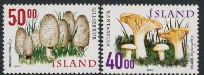 2000 Iceland SG.954-5 Fungi (2nd Series) Set of 2 values U/M (MNH) 2000 Iceland SG.954-5 Fungi (2nd Series) Set of 2 values U/M (MNH)