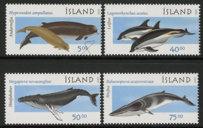 2000 Iceland SG.966-9 Marine Mammals 2nd Set of 4 values U/M (MNH) 2000 Iceland SG.966-9 Marine Mammals 2nd Set of 4 values U/M (MNH)