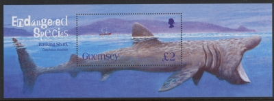 2005 Guernsey MS.1085 Basing Shark Mini Sheet U/M (MNH) 2005 Guernsey MS.1085 Basing Shark Mini Sheet U/M (MNH)