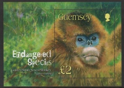 2004 Guernsey S.1016 End. Species Monkey Mini Sheet U/M (MNH) 2004 Guernsey S.1016 End. Species Monkey Mini Sheet U/M (MNH)
