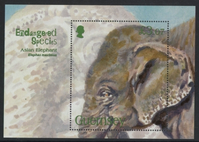 2010 Guernsey MS.1320 Asian Elephant Mini Sheet U/M (MNH) 2010 Guernsey MS.1320 Asian Elephant Mini Sheet U/M (MNH)