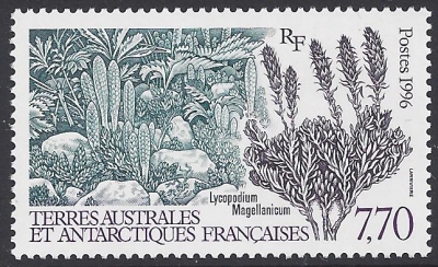 1996 French Antarctic. SG.355 Lycopodium magellanicum. 1 value. U/M (MNH) 1996 French Antarctic. SG.355 Lycopodium magellanicum. 1 value. U/M (MNH)