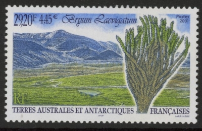 2001 French Antarctic SG.451 Bryum laevigatum. 1 value. U/M (MNH) 2001 French Antarctic SG.451 Bryum laevigatum. 1 value. U/M (MNH)
