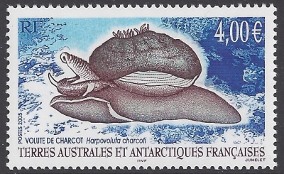 2005 French Antarctic SG.538 Harpovoluta charcoti. 1 value. U/M (MNH) 2005 French Antarctic SG.538 Harpovoluta charcoti. 1 value. U/M (MNH)