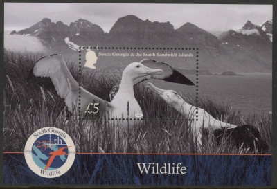 2025 South Georgia. MS.875 Wildlife. mini sheet. U/M (MNH) 2025 South Georgia. MS.875 Wildlife. mini sheet. U/M (MNH)