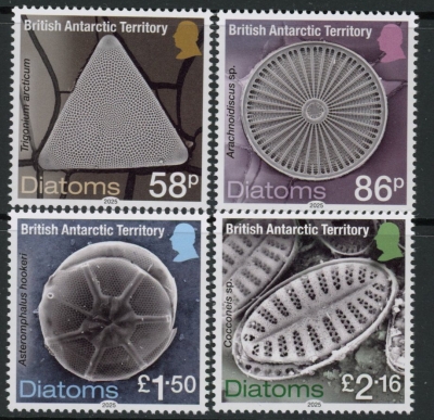 2025 British Antarctic SG.tba Diatoms. set 4 values. U/M (MNH) 2025 British Antarctic SG.tba Diatoms. set 4 values. U/M (MNH)