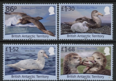2025 British Antarctic SG.tba Southern Giant Petrels. set 4 values. U/M (MNH) 2025 British Antarctic SG.tba Southern Giant Petrels. set 4 values. U/M (MNH)