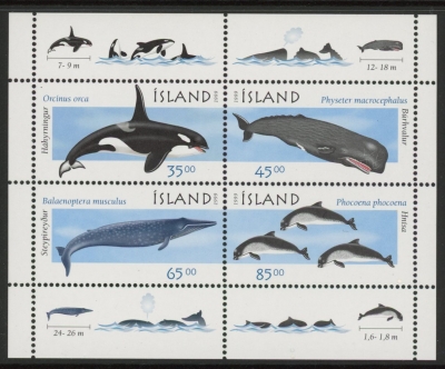 1999 Iceland MS.919 Marine Mammals Mini Sheet U/M (MNH) 1999 Iceland MS.919 Marine Mammals Mini Sheet U/M (MNH)