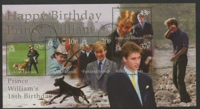 2000 Falkland Islands. MS880 18th Birthday of Prince William. mini sheet. used (CTO) 2000 Falkland Islands. MS880 18th Birthday of Prince William. mini sheet. used (CTO)