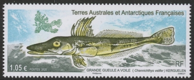 2020 French Antarctic SG.893 Crocodile Icefish U/M (MNH) 2020 French Antarctic SG.893 Crocodile Icefish U/M (MNH)