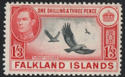 1946 Falkland Islands - SG.159 1/3d black & carmine-red. U/M (MNH) 1946 Falkland Islands - SG.159 1/3d black & carmine-red. U/M (MNH)
