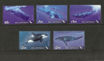 Ross Depedency Whales