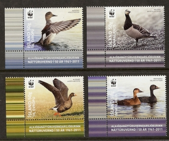 Iceland Birds WWF 2011 Iceland Birds WWF 2011