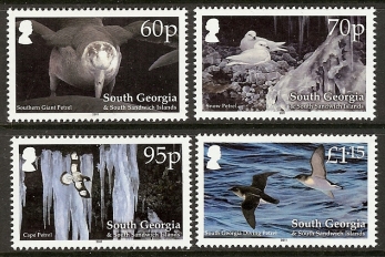 South Georgia 2011 Birds South Georgia 2011 Birds