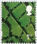 1st Fields (Enschede) SG. NI 90