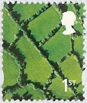 1st Fields (Walsall) SG. NI 90