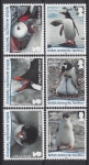 2016 British Antarctic.  SG.716-21  Gentoo Penguins  set 6 values U/M (MNH)