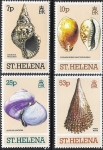 1981 St. Helena. SG.381-4 Sea Shells set 4 values U/M (MNH)