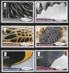 2019 Falkland Islands. SG.1434-9  Feathers  set 6 values U/M (MNH)