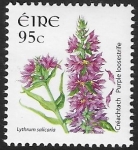 2007 Ireland SG.1685  95c  Purple Loosestrife  U/M (MNH)