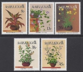 1992 St. Helena SG. 625-9 Flowers 1st series set 5 values U/M (MNH)