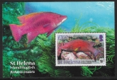 2011 St. Helena MS.1166 Endangered species -Island Hogfish. mini sheet U/M (MNH)