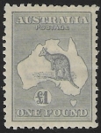 1924 Australia - SG.75 £1 grey Die IIB mounted mint (see back)