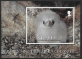 2022 St Helena  MS.1313. Parenting in Seabird Colonies. Mini Sheet. U/M (MNH)