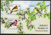 2012 Jersey MS.1688 Birds '6th series' mini sheet.(face = £3.85) U/M (MNH)