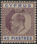 1904 Cyprus SG.71 45pi dull purple & ultramarine  U/M (MNH)