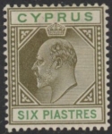 1903 Cyprus SG.55 6pi  sepia & green M/M