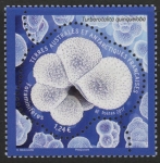 2017 French Antarctic SG.808 Marine Life U/M (MNH)