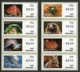 2010 Ireland M9-16 Mammals & Marine Life (1st series) S/A Set of 8 values U/M (MNH)