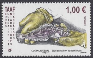 2013 French Antarctic. SG.689  Antarctic Fish  U/M (MNH)