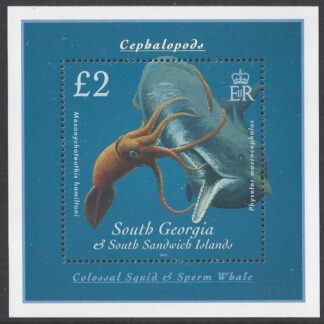 2009 South Georgia  - Cephalopods MS.491 mini sheet U/M (MNH)