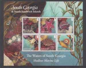 2012 South Georgia  - Shallow Marine Life SG.550/5 set 6 values U/M (MNH)