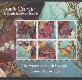 2012 South Georgia  - Shallow Marine Life SG.550/5 set 6 values U/M (MNH)