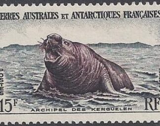1956 French Antarctic 15f Southern Elephant Seal SG.12 u/m (MNH)