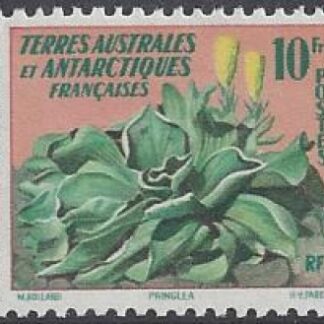 1959 French Antarctic 10f  'Pringlea'  SG.22 u/m (MNH)