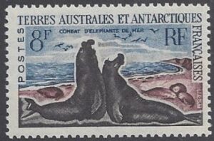1962 French Antarctic  SG.27 Southern Elephant Seals u/m (MNH