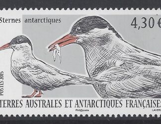2015 French Antarctic -SG.749 Antarctic Tern 'Sternes' 1 value u/m (MNH)
