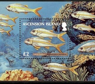 2012 Ascension Is.   Reef Fish Mini Sheet 2nd Series MS.1133 U/M  (MNH)